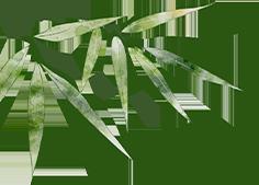 DƬ